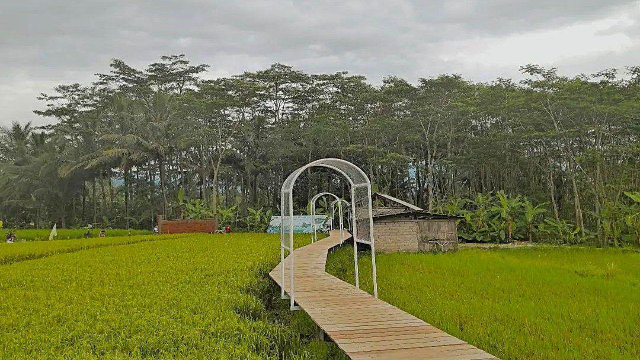 Tapak Hapsari: Oase Hijau Edukatif di Tengah Persawahan Salatiga