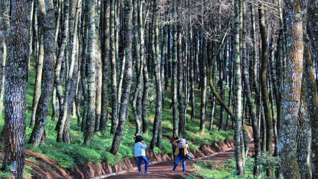 Eksplorasi Lengkap Bukit Moko